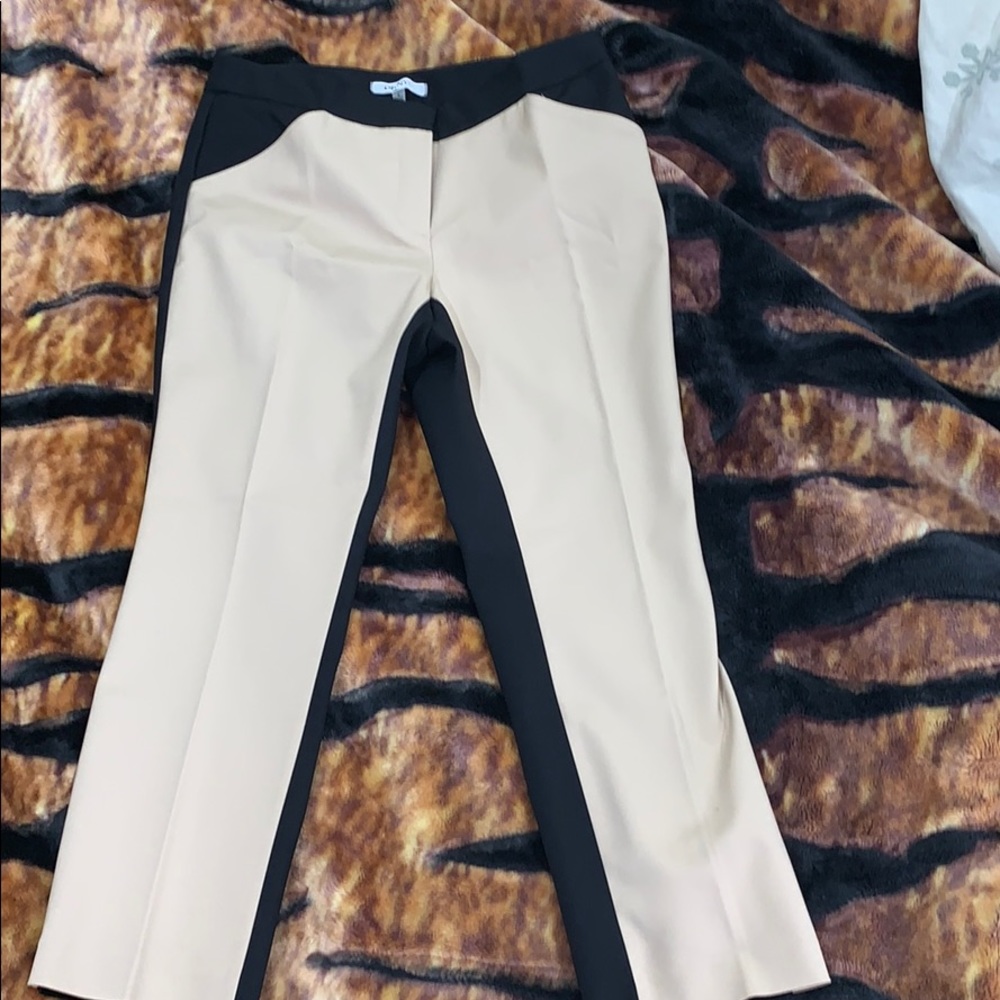 DKNYC Business pants